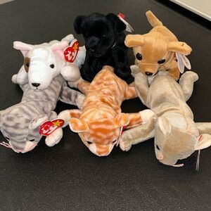 Ty beanie babies